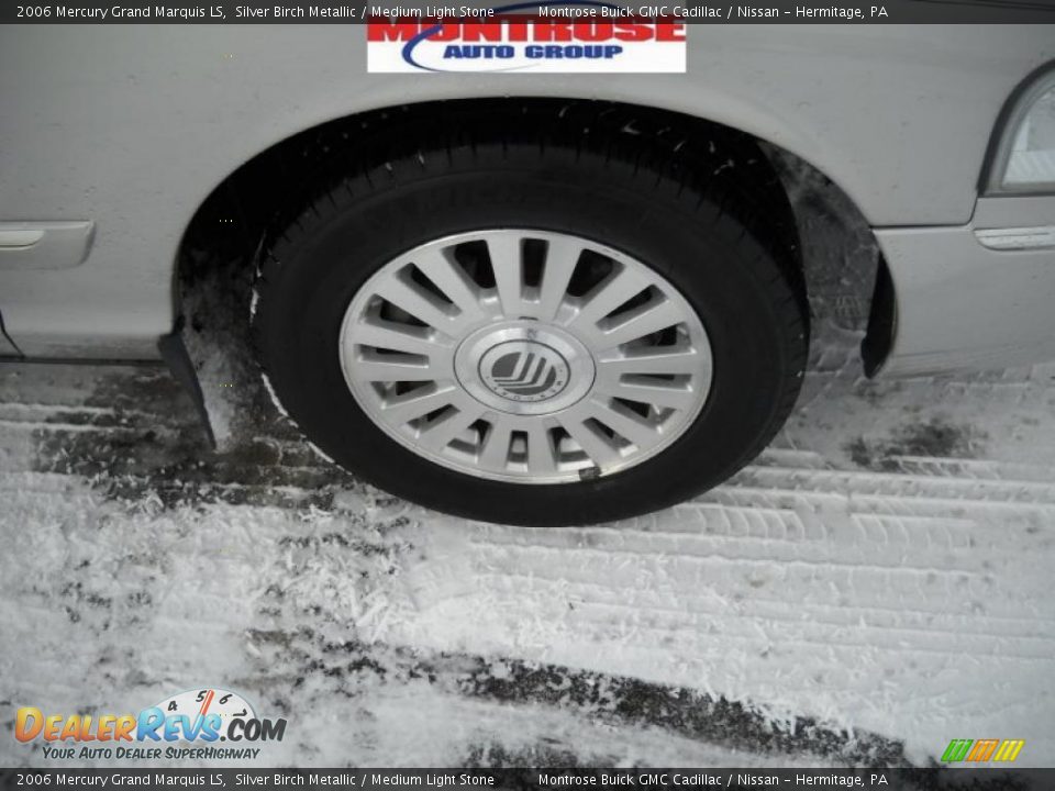 2006 Mercury Grand Marquis LS Silver Birch Metallic / Medium Light Stone Photo #23