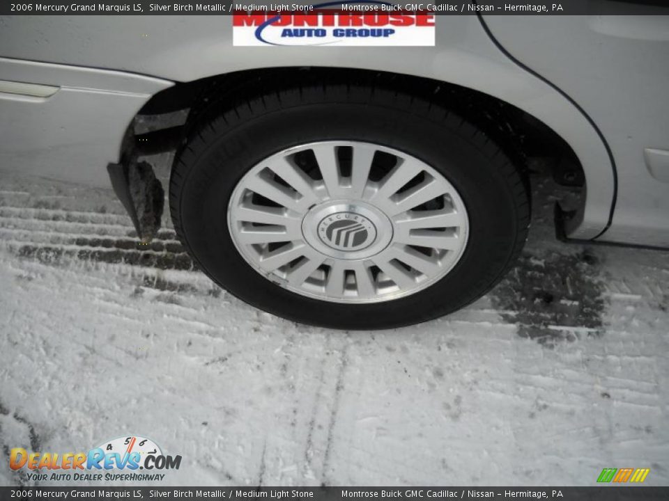 2006 Mercury Grand Marquis LS Silver Birch Metallic / Medium Light Stone Photo #24
