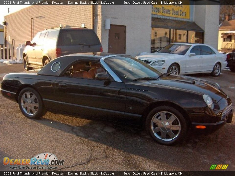 2003 Ford Thunderbird Premium Roadster Evening Black / Black Ink/Saddle Photo #1