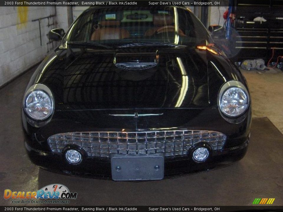 2003 Ford Thunderbird Premium Roadster Evening Black / Black Ink/Saddle Photo #3