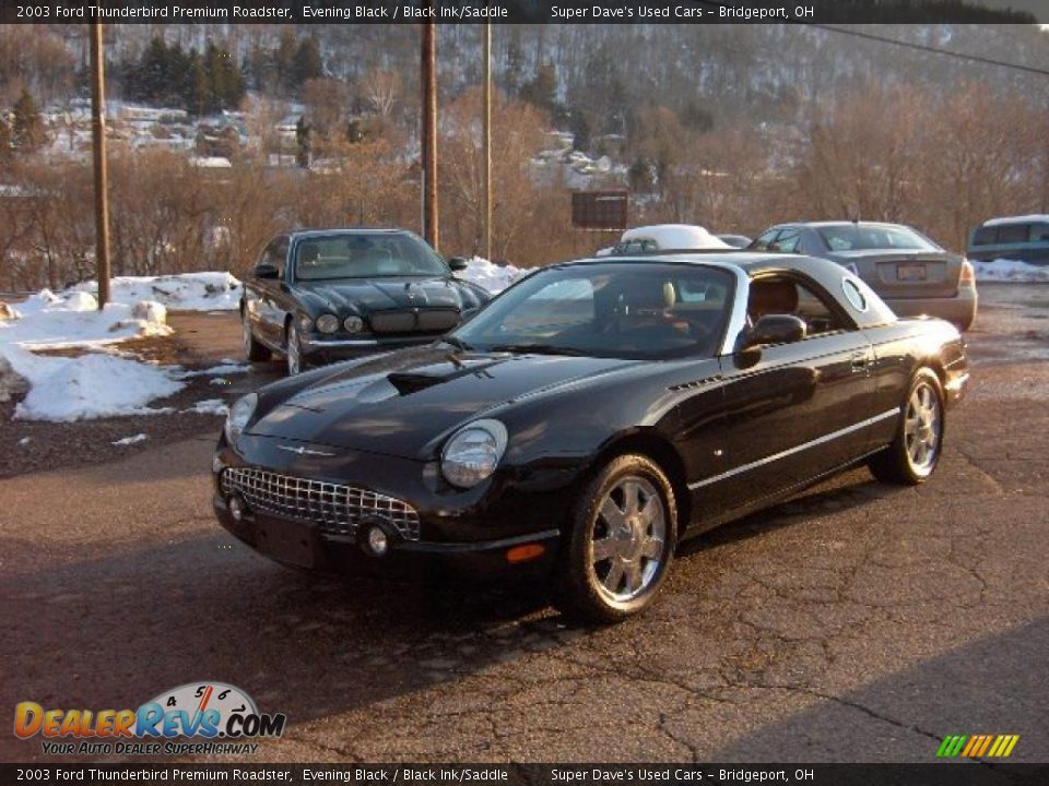 2003 Ford Thunderbird Premium Roadster Evening Black / Black Ink/Saddle Photo #5