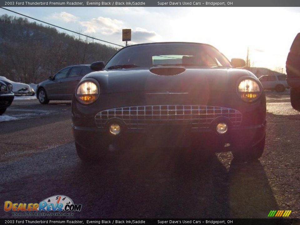 2003 Ford Thunderbird Premium Roadster Evening Black / Black Ink/Saddle Photo #6