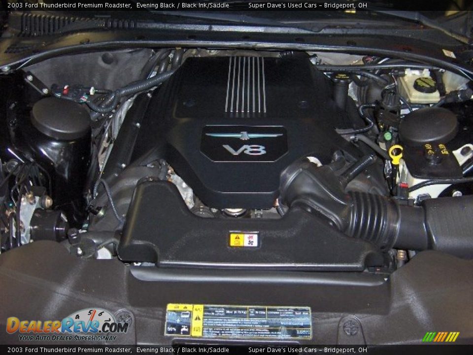 2003 Ford Thunderbird Premium Roadster Evening Black / Black Ink/Saddle Photo #13