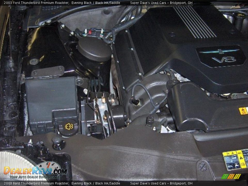 2003 Ford Thunderbird Premium Roadster Evening Black / Black Ink/Saddle Photo #14