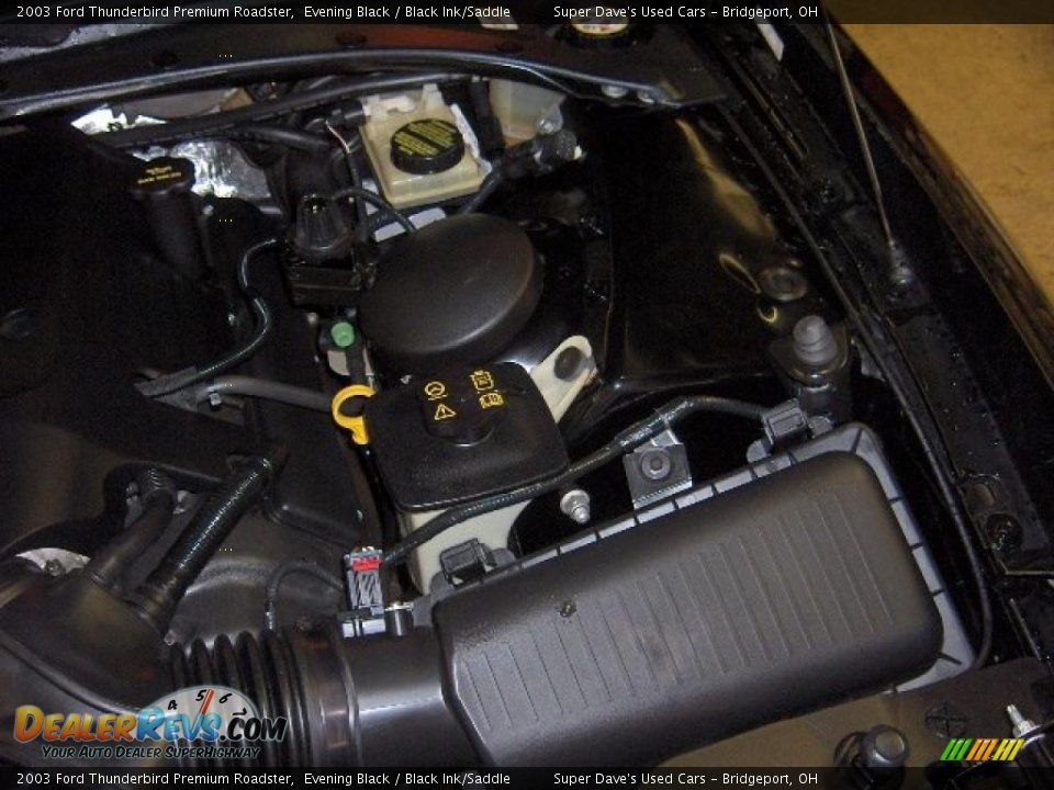 2003 Ford Thunderbird Premium Roadster Evening Black / Black Ink/Saddle Photo #15
