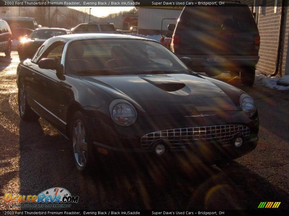 2003 Ford Thunderbird Premium Roadster Evening Black / Black Ink/Saddle Photo #16