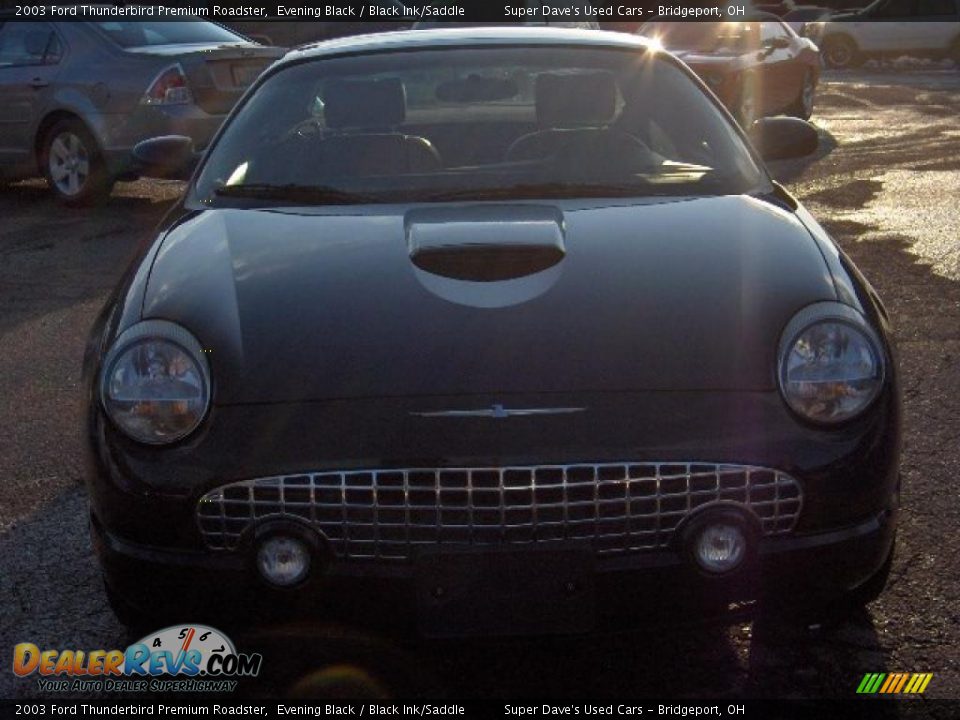2003 Ford Thunderbird Premium Roadster Evening Black / Black Ink/Saddle Photo #17