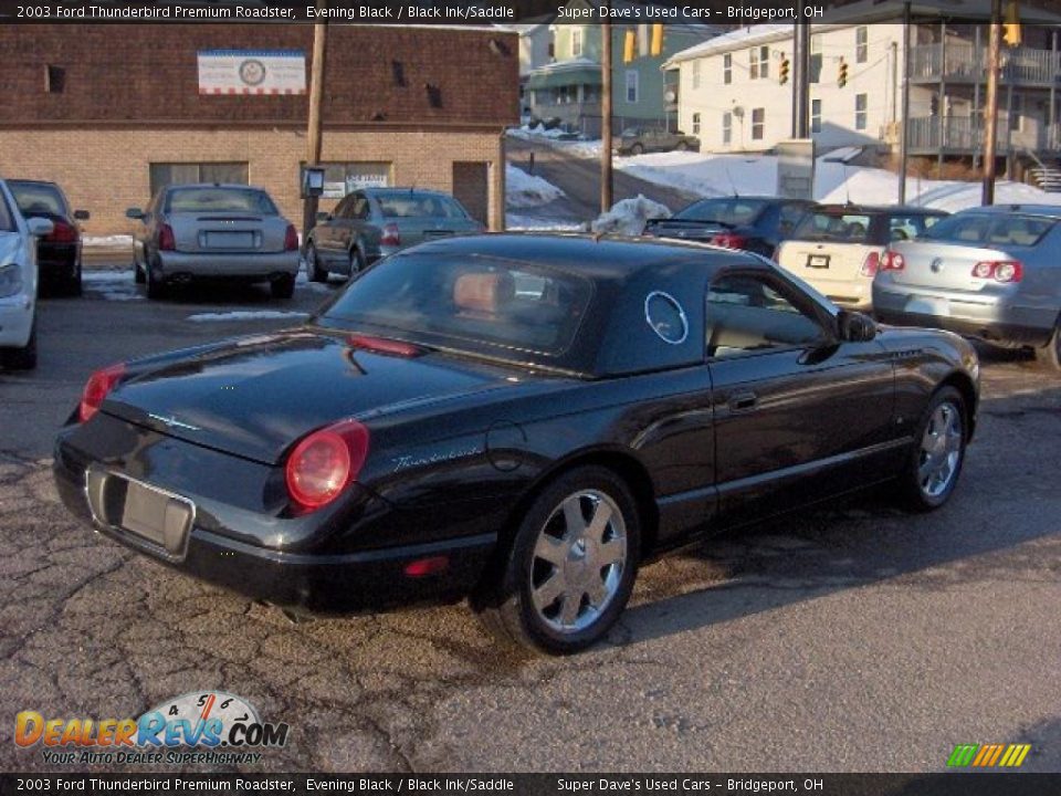 2003 Ford Thunderbird Premium Roadster Evening Black / Black Ink/Saddle Photo #18