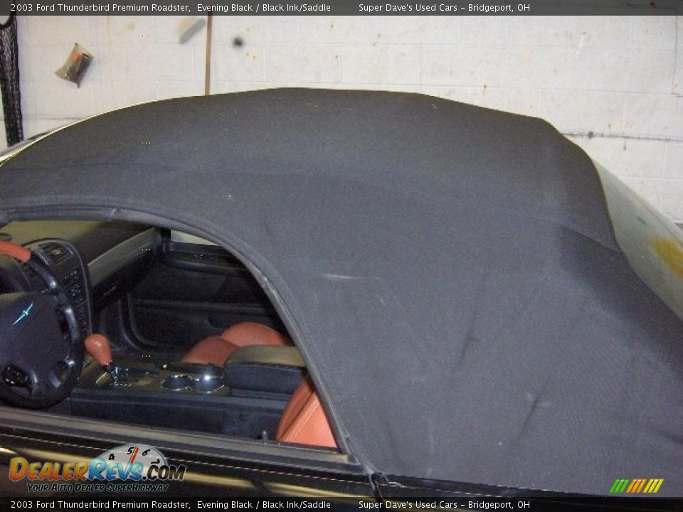 2003 Ford Thunderbird Premium Roadster Evening Black / Black Ink/Saddle Photo #20