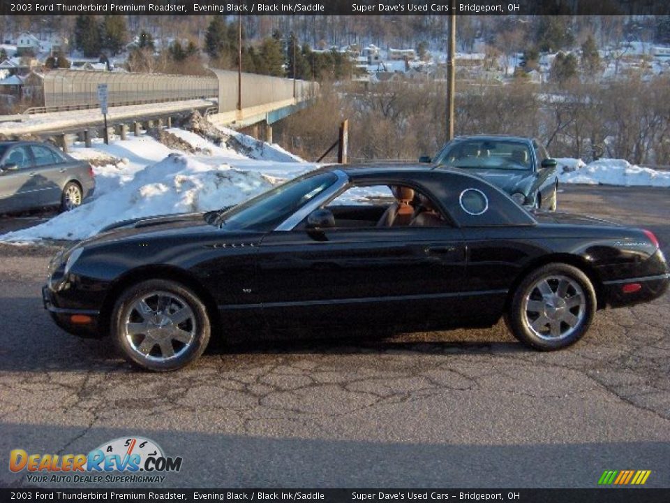 2003 Ford Thunderbird Premium Roadster Evening Black / Black Ink/Saddle Photo #22