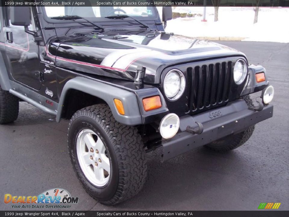 1999 Jeep Wrangler Sport 4x4 Black / Agate Photo #12