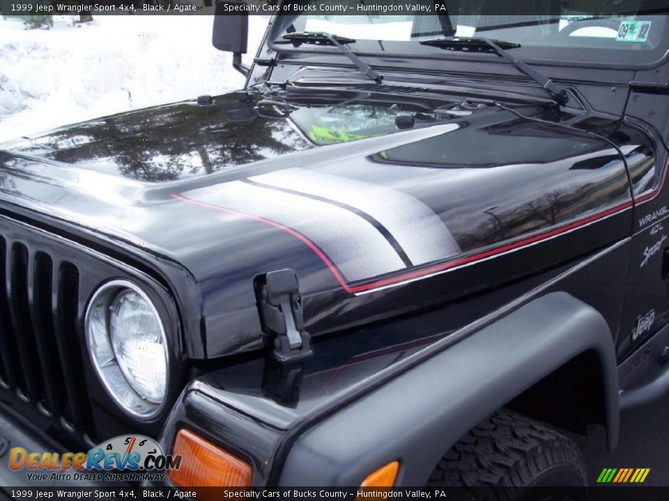 1999 Jeep Wrangler Sport 4x4 Black / Agate Photo #14