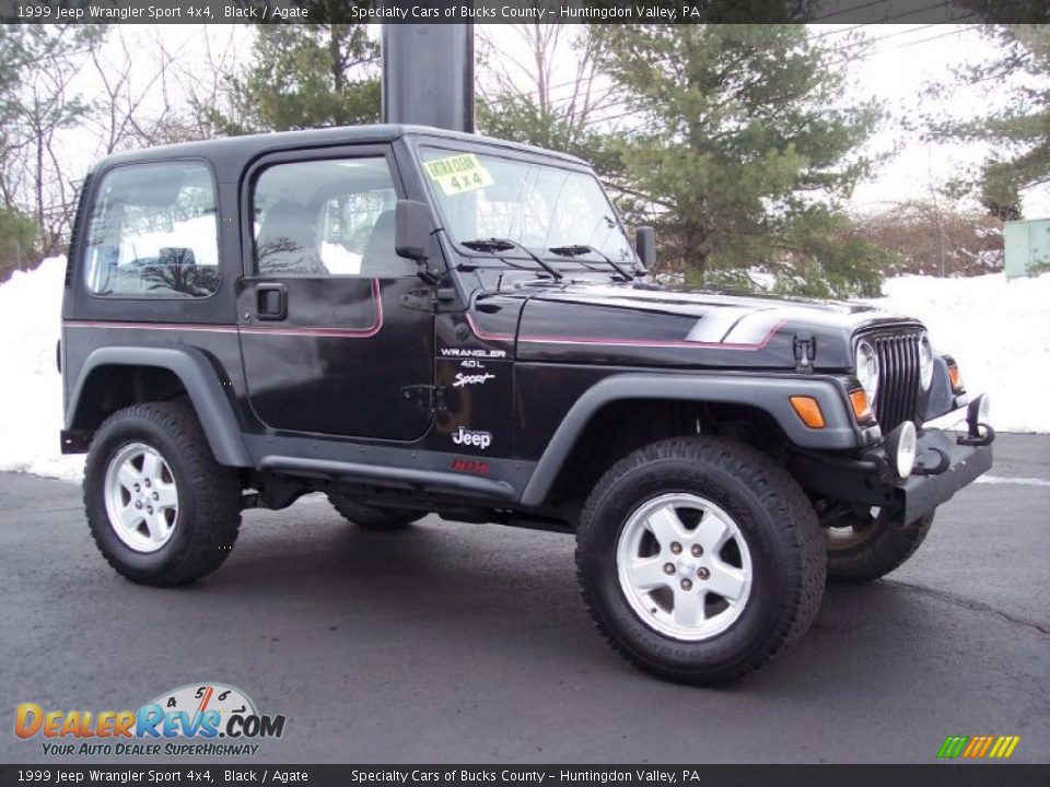 1999 Jeep Wrangler Sport 4x4 Black / Agate Photo #16