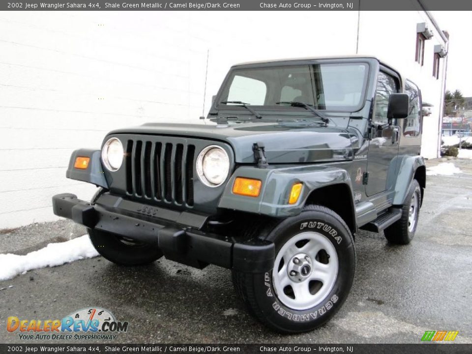 2002 Jeep Wrangler Sahara 4x4 Shale Green Metallic / Camel Beige/Dark Green Photo #1