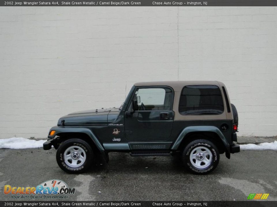2002 Jeep Wrangler Sahara 4x4 Shale Green Metallic / Camel Beige/Dark Green Photo #2