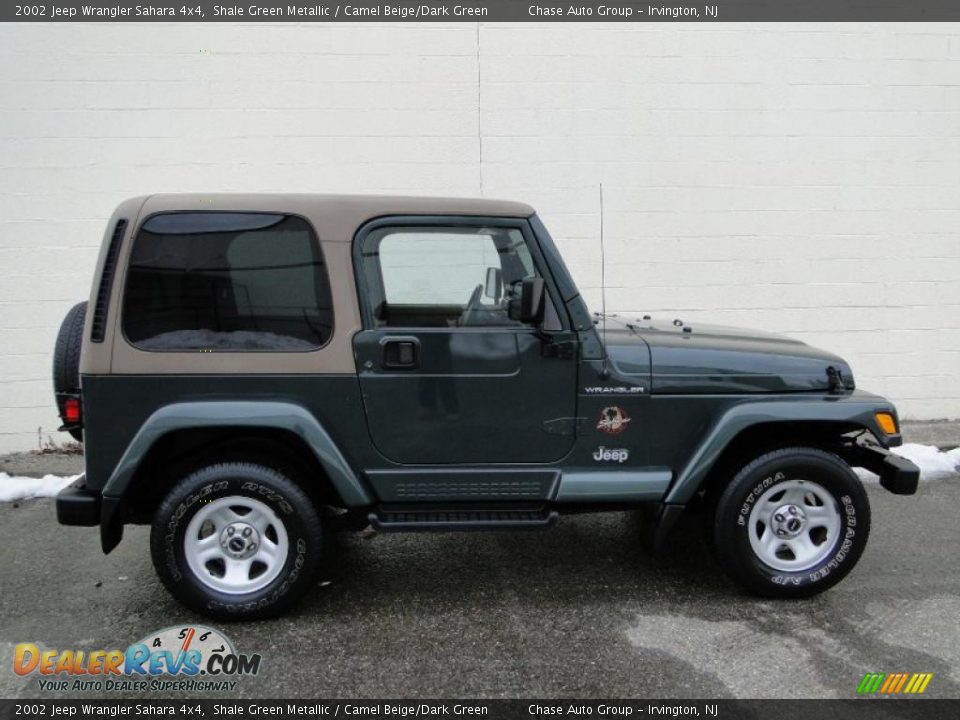 2002 Jeep Wrangler Sahara 4x4 Shale Green Metallic / Camel Beige/Dark Green Photo #3