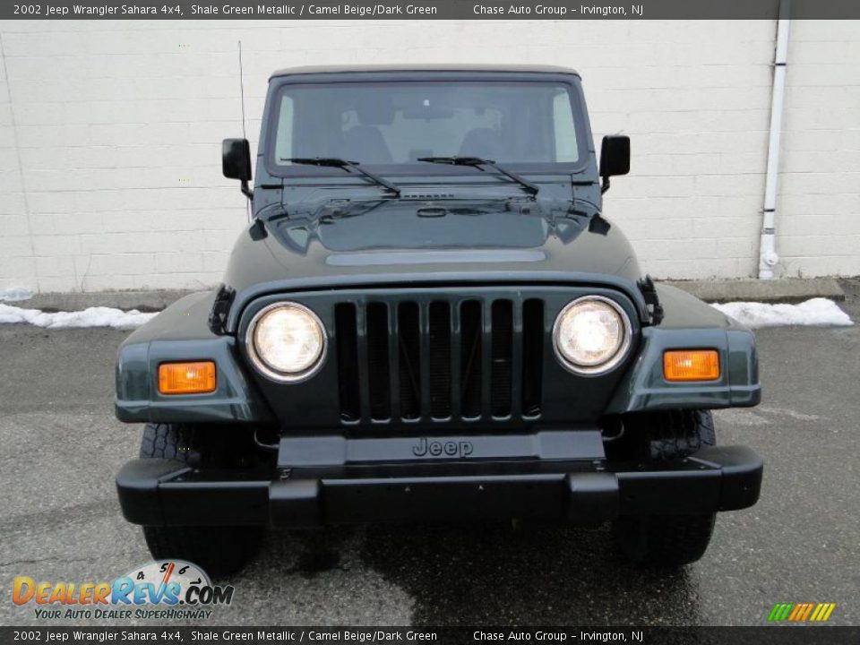 2002 Jeep Wrangler Sahara 4x4 Shale Green Metallic / Camel Beige/Dark Green Photo #4