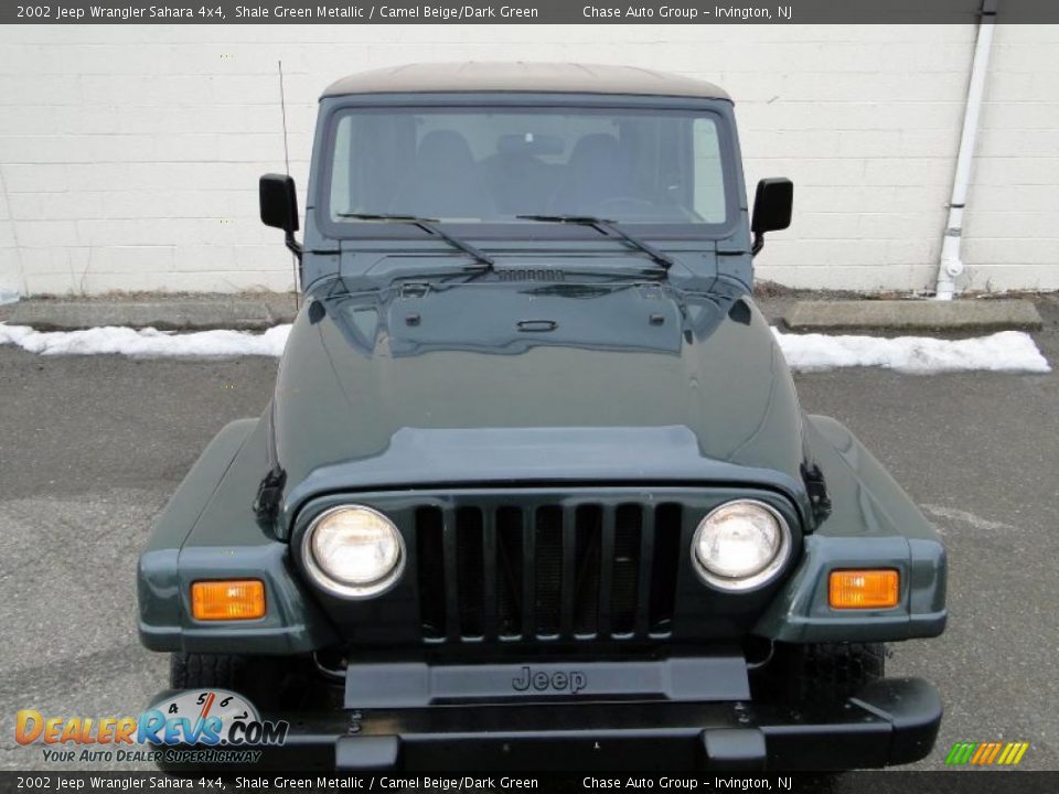 2002 Jeep Wrangler Sahara 4x4 Shale Green Metallic / Camel Beige/Dark Green Photo #5