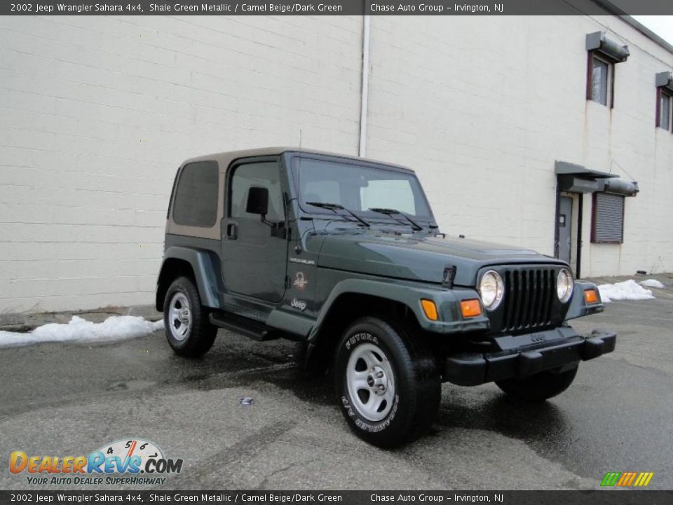 2002 Jeep Wrangler Sahara 4x4 Shale Green Metallic / Camel Beige/Dark Green Photo #6