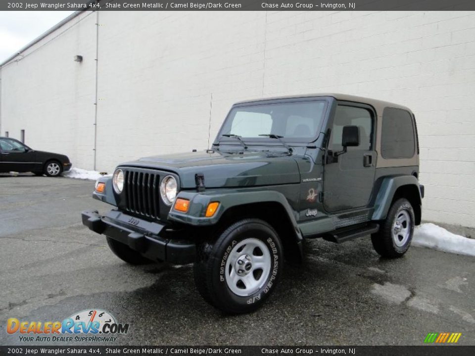 2002 Jeep Wrangler Sahara 4x4 Shale Green Metallic / Camel Beige/Dark Green Photo #7