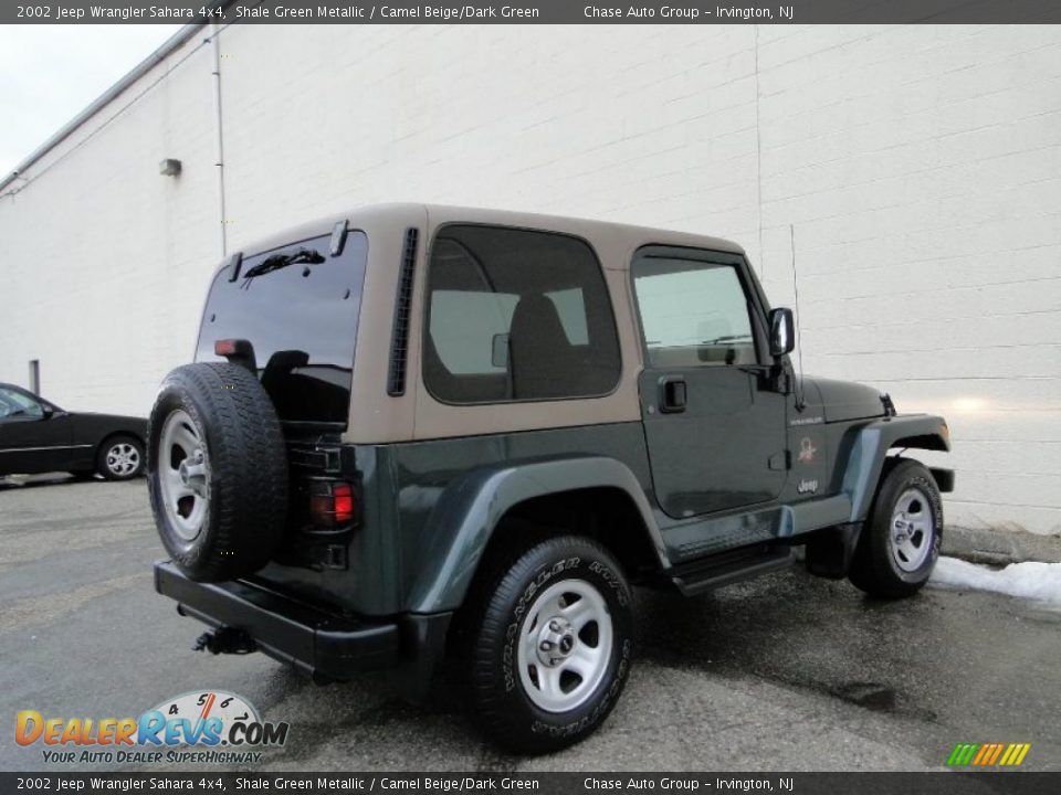 2002 Jeep Wrangler Sahara 4x4 Shale Green Metallic / Camel Beige/Dark Green Photo #10