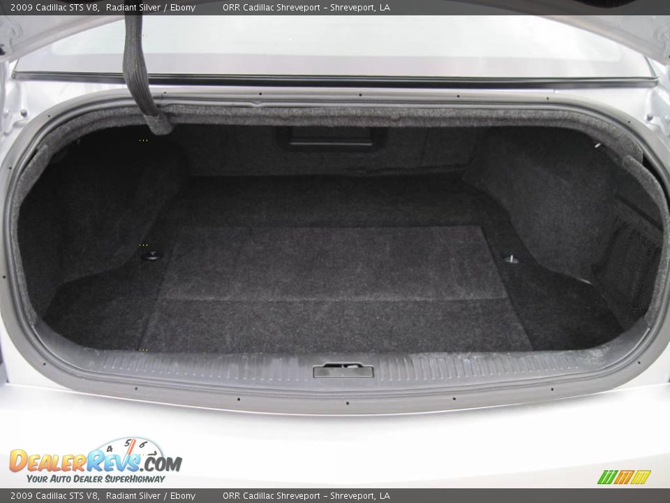 2009 Cadillac STS V8 Radiant Silver / Ebony Photo #7