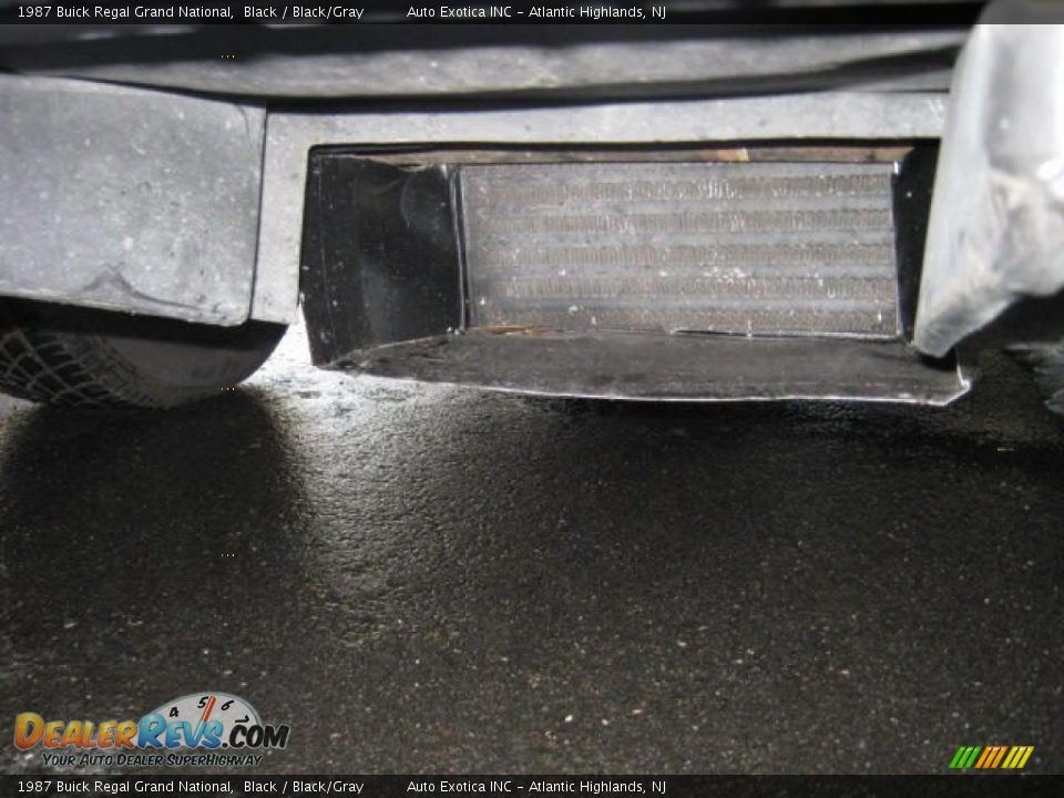 1987 Buick Regal Grand National Black / Black/Gray Photo #30
