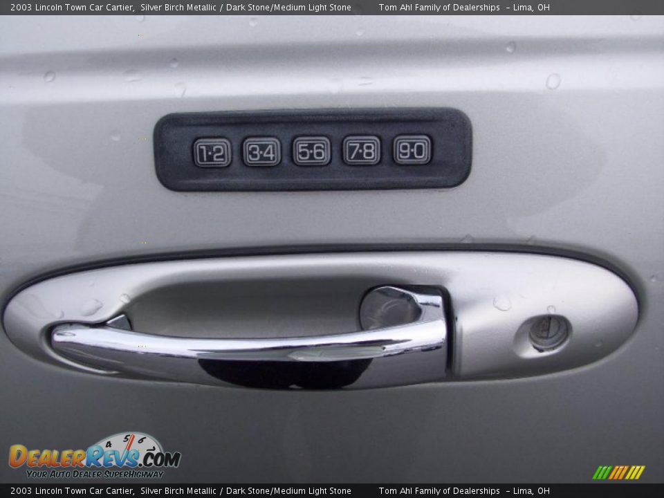 2003 Lincoln Town Car Cartier Silver Birch Metallic / Dark Stone/Medium Light Stone Photo #14