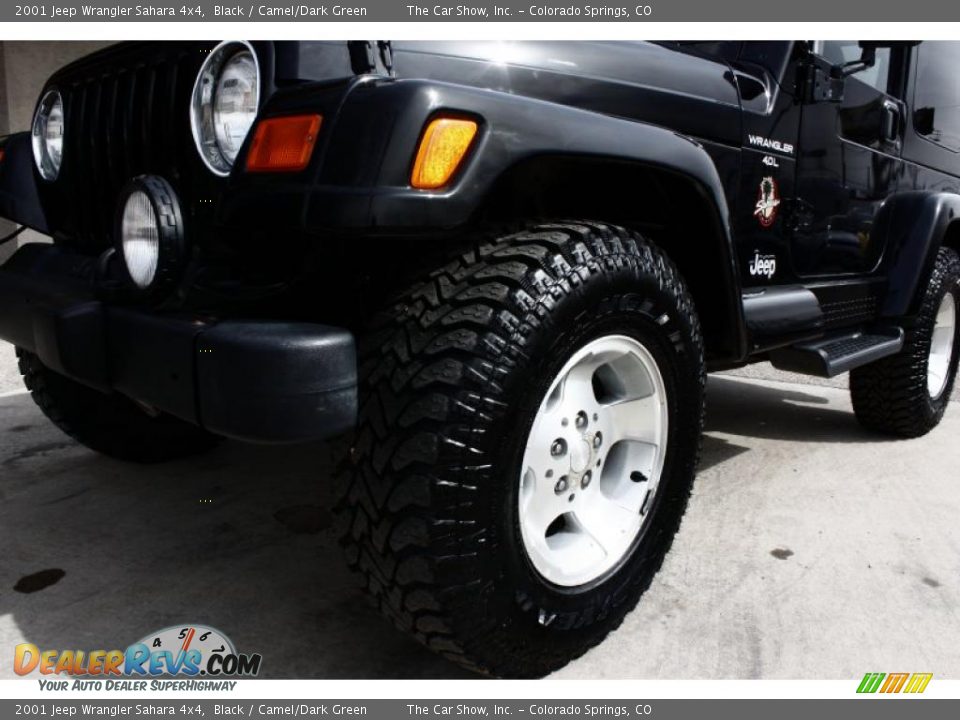 2001 Jeep Wrangler Sahara 4x4 Black / Camel/Dark Green Photo #15