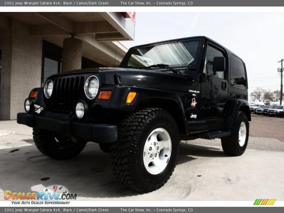 2001 Jeep Wrangler Sahara 4x4 Black / Camel/Dark Green Photo #16
