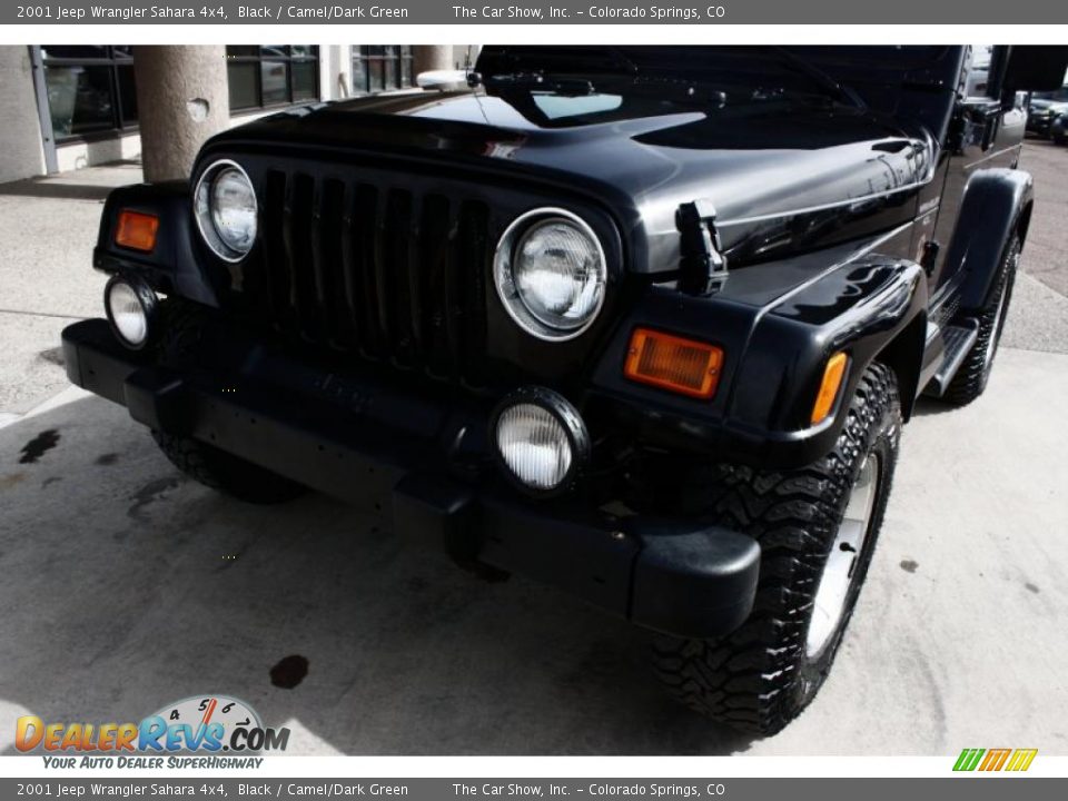 2001 Jeep Wrangler Sahara 4x4 Black / Camel/Dark Green Photo #17
