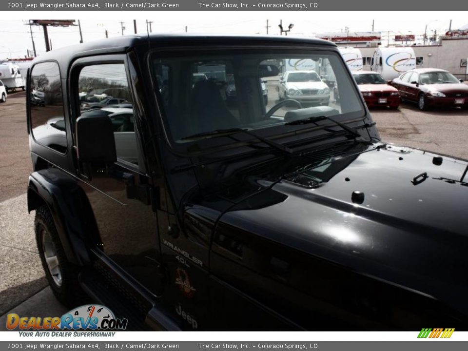 2001 Jeep Wrangler Sahara 4x4 Black / Camel/Dark Green Photo #18