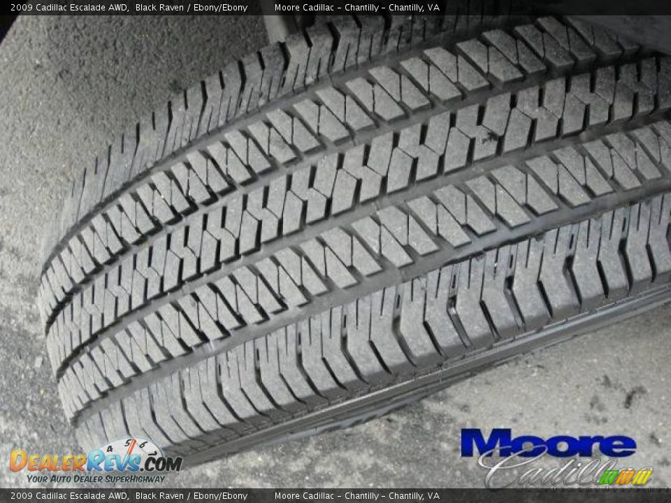 2009 Cadillac Escalade AWD Black Raven / Ebony/Ebony Photo #24