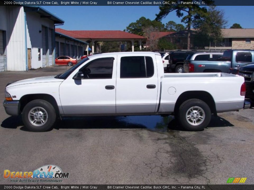 2000 Dodge Dakota SLT Crew Cab Bright White / Mist Gray Photo #1