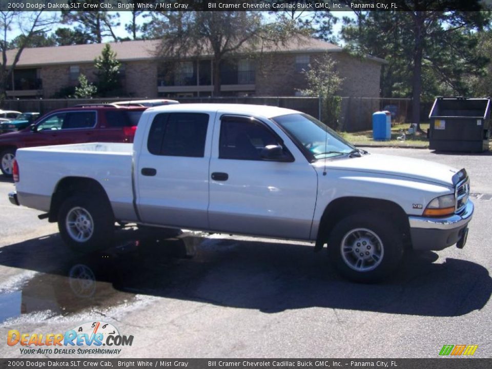 2000 Dodge Dakota SLT Crew Cab Bright White / Mist Gray Photo #3
