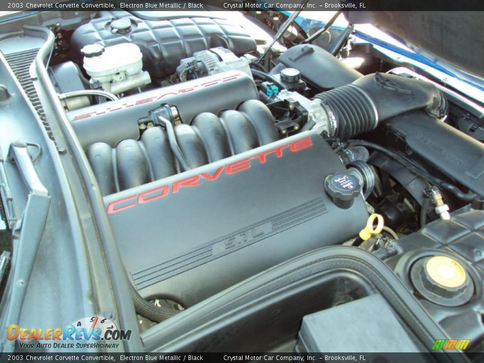 2003 Chevrolet Corvette Convertible Electron Blue Metallic / Black Photo #14