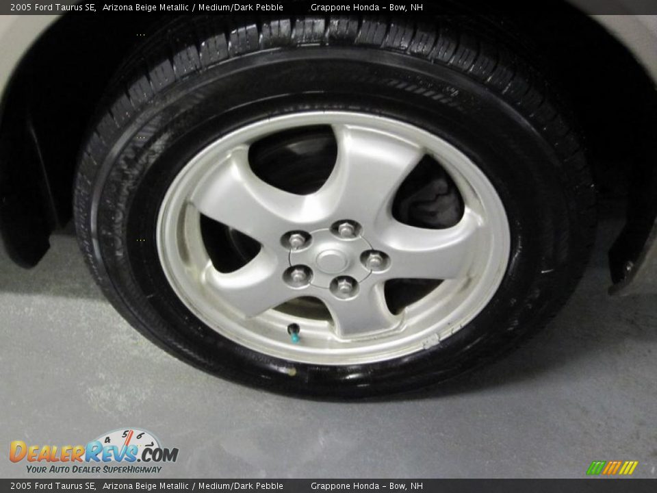 2005 Ford Taurus SE Arizona Beige Metallic / Medium/Dark Pebble Photo #5