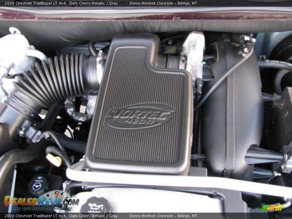2009 Chevrolet TrailBlazer LT 4x4 Dark Cherry Metallic / Gray Photo #13