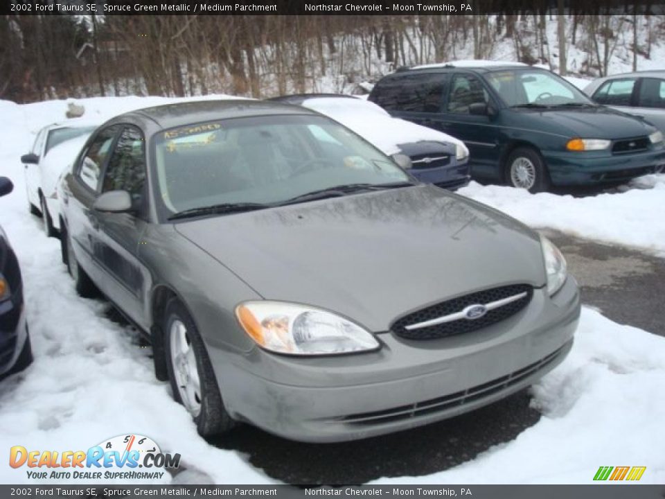 2002 Ford Taurus SE Spruce Green Metallic / Medium Parchment Photo #1