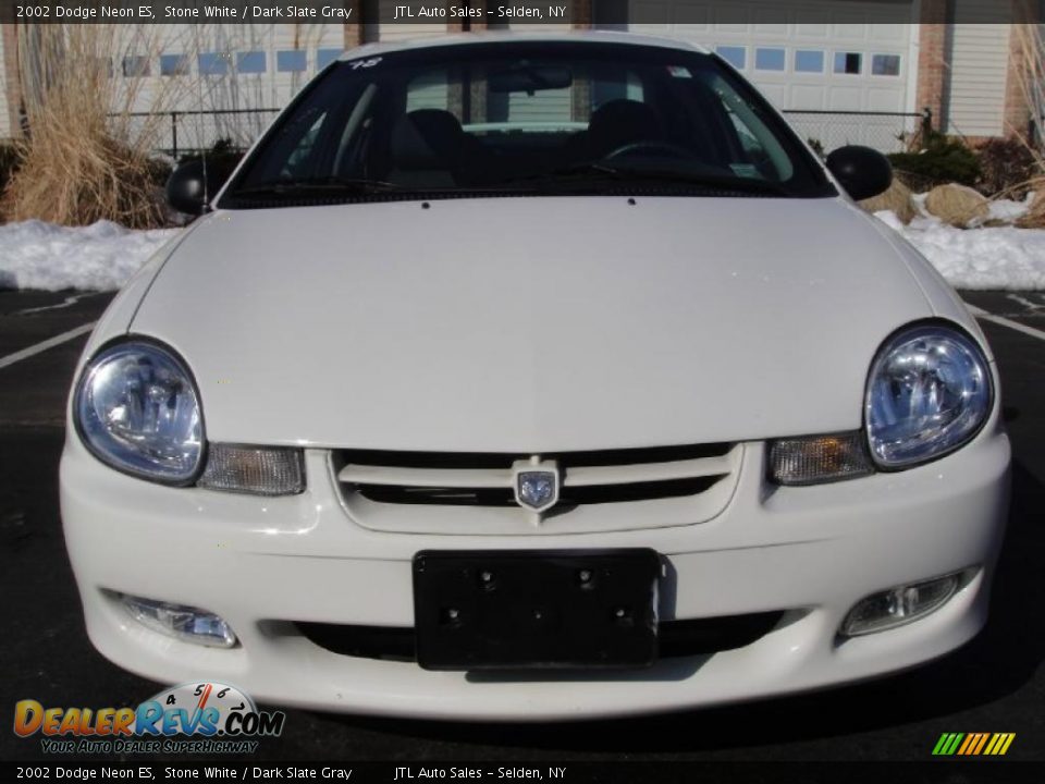 2002 Dodge Neon ES Stone White / Dark Slate Gray Photo #2