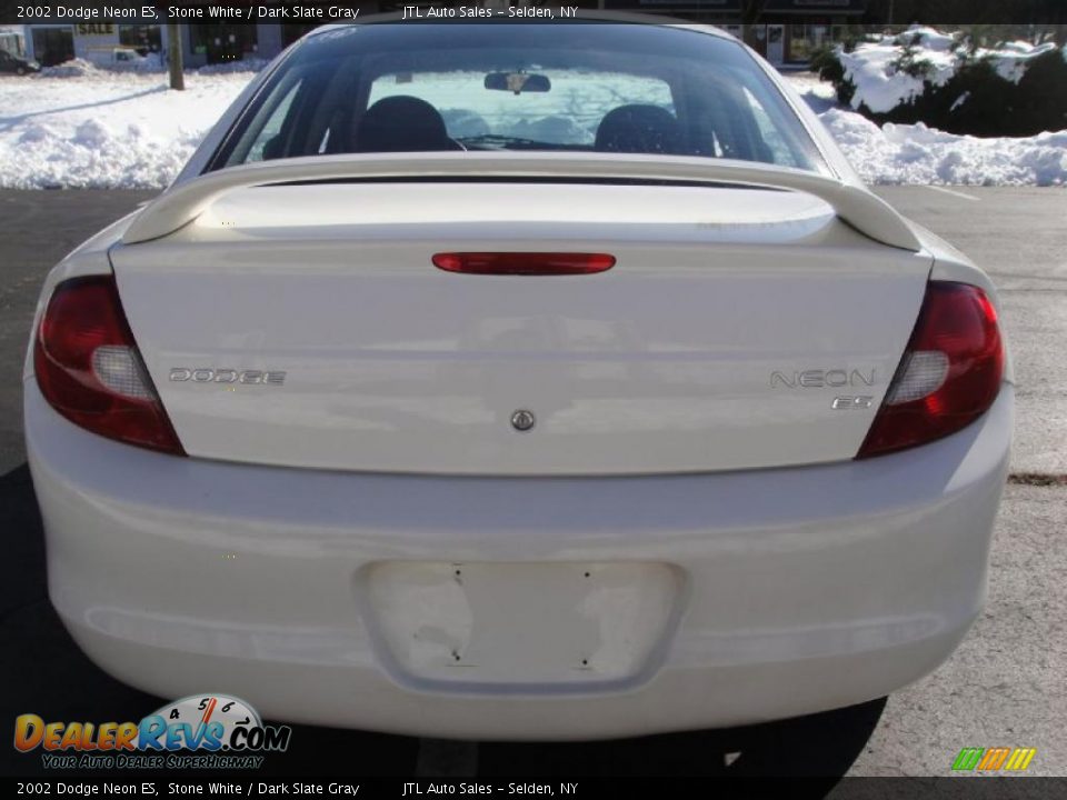 2002 Dodge Neon ES Stone White / Dark Slate Gray Photo #4