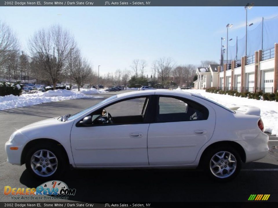 2002 Dodge Neon ES Stone White / Dark Slate Gray Photo #5