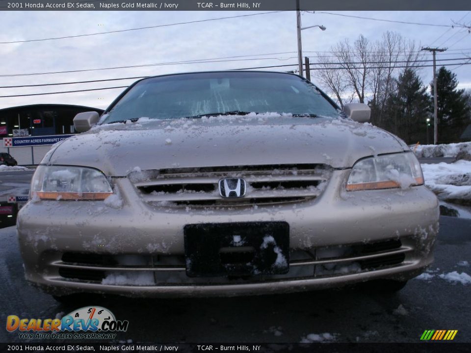 2001 Honda Accord EX Sedan Naples Gold Metallic / Ivory Photo #6