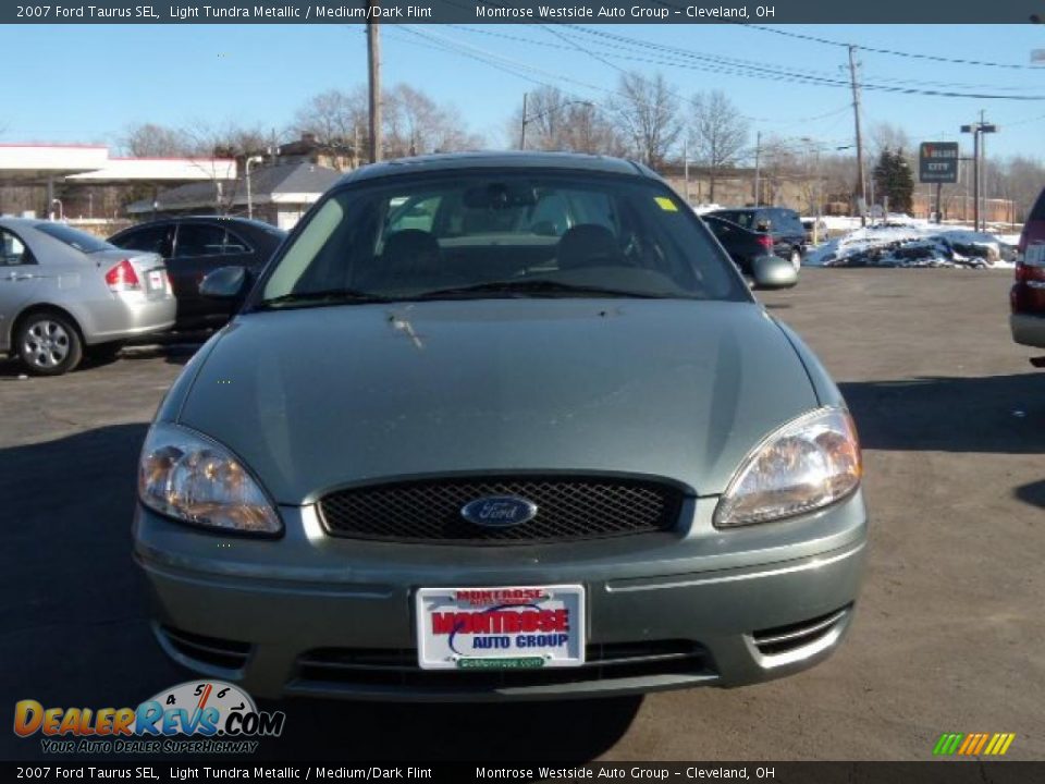 2007 Ford Taurus SEL Light Tundra Metallic / Medium/Dark Flint Photo #8