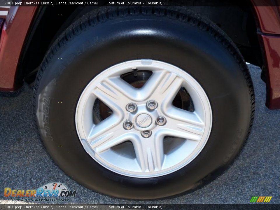 2001 Jeep Cherokee Classic Sienna Pearlcoat / Camel Photo #14