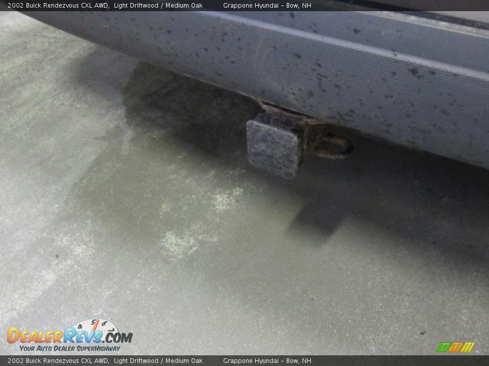 2002 Buick Rendezvous CXL AWD Light Driftwood / Medium Oak Photo #5