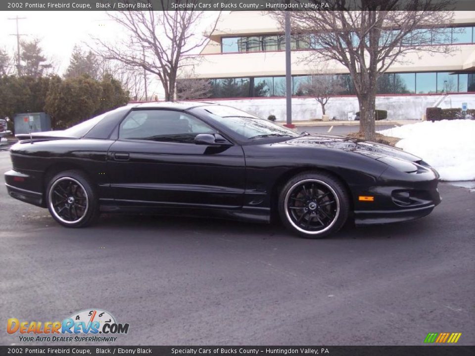 2002 Pontiac Firebird Coupe Black / Ebony Black Photo #1