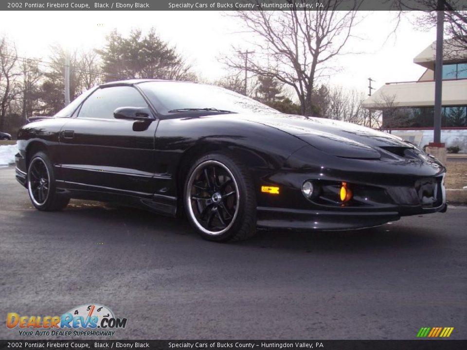 2002 Pontiac Firebird Coupe Black / Ebony Black Photo #2