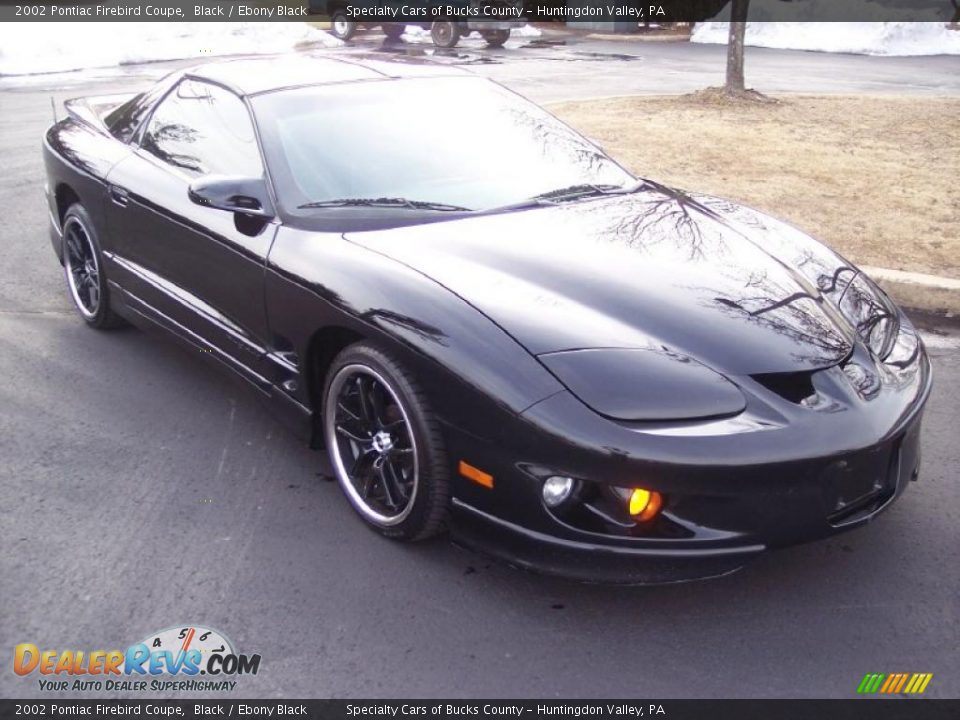 2002 Pontiac Firebird Coupe Black / Ebony Black Photo #3