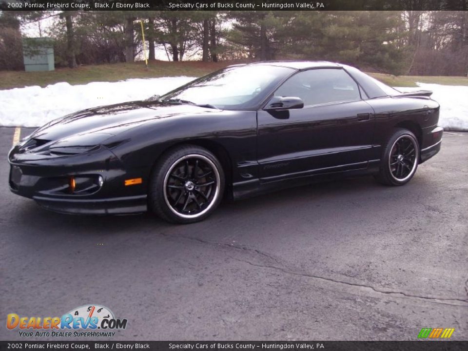 2002 Pontiac Firebird Coupe Black / Ebony Black Photo #7